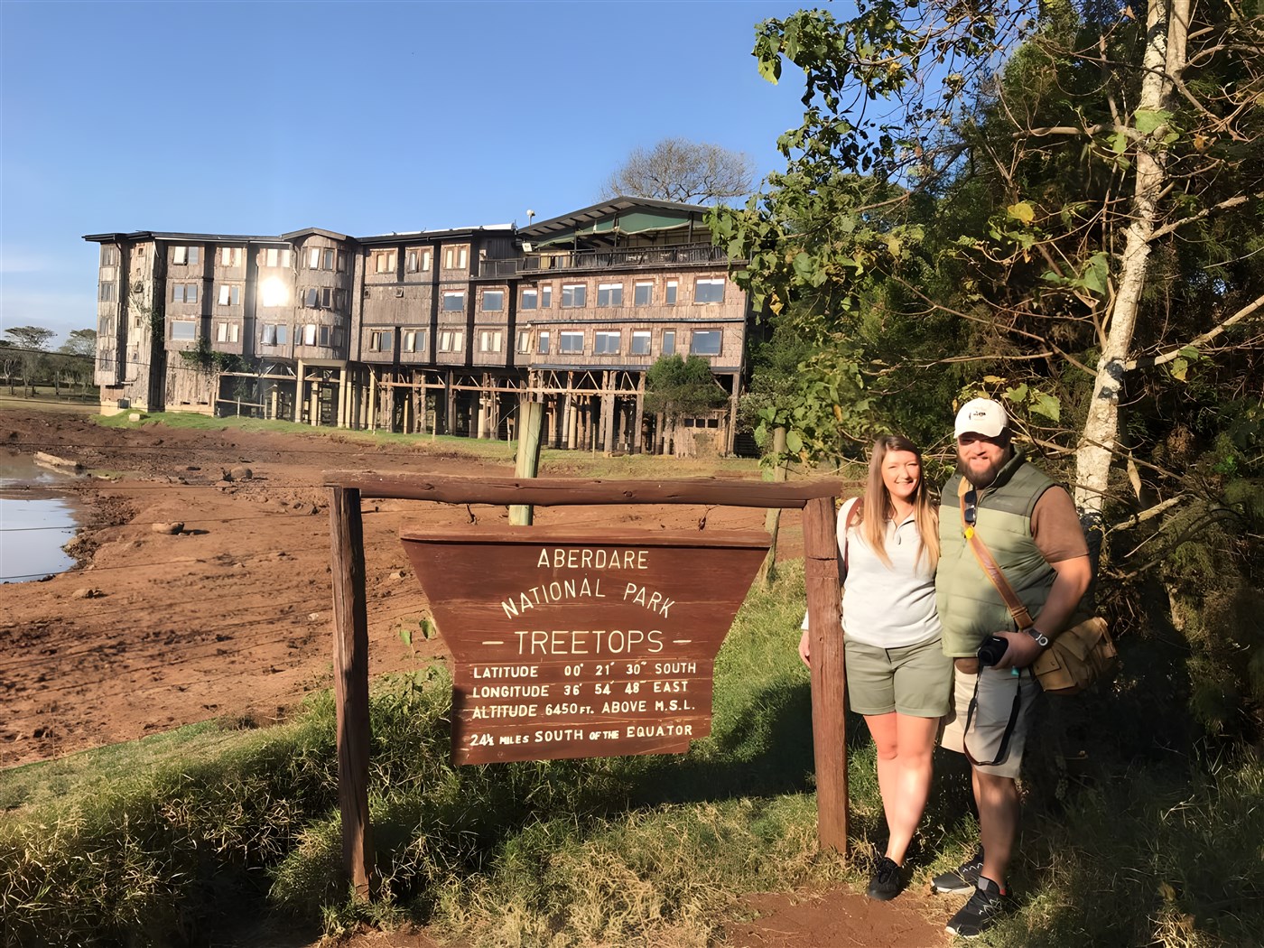 Treetops in the magnificent Aberdare National Park