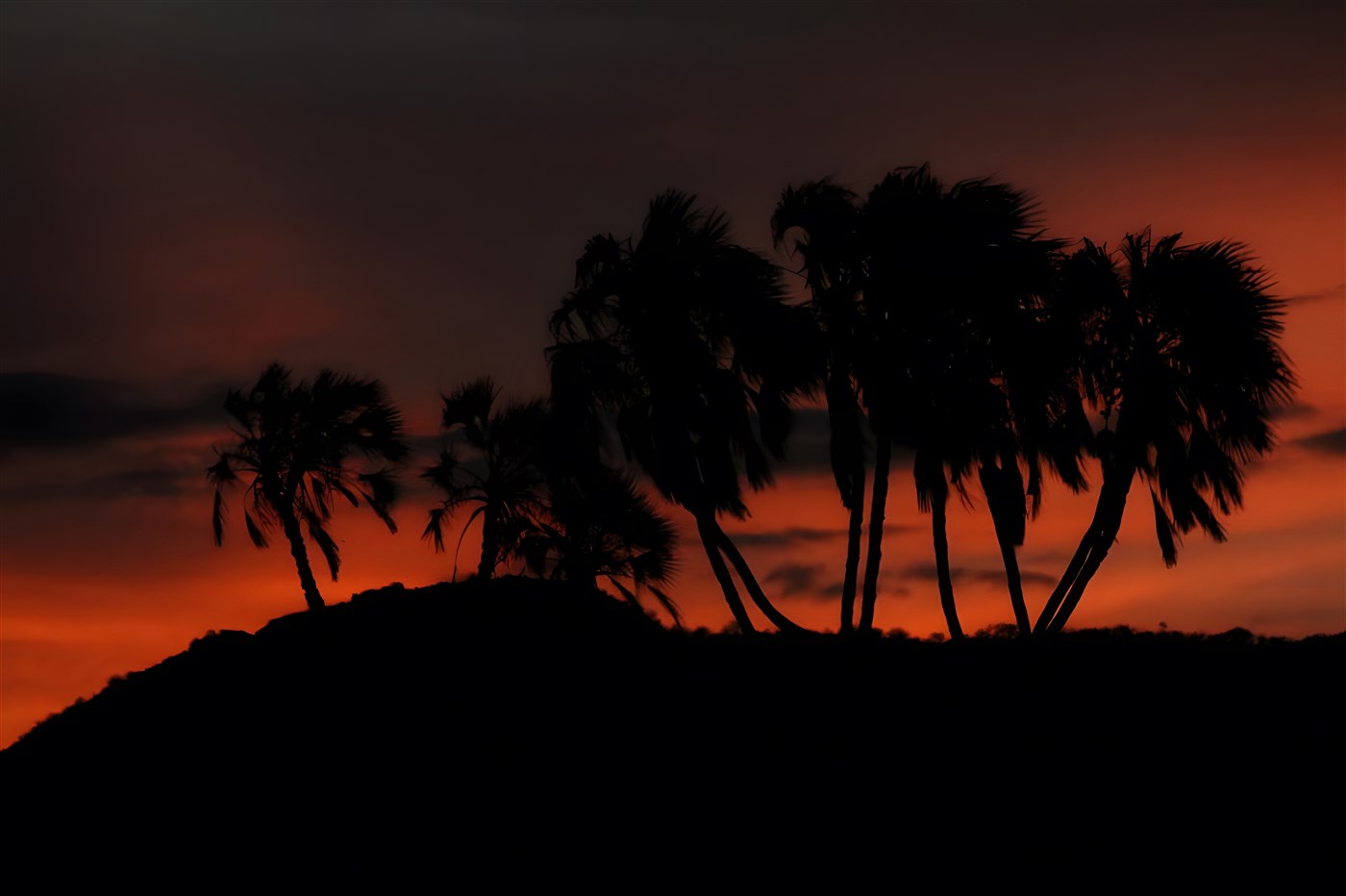 Sunset in Samburu