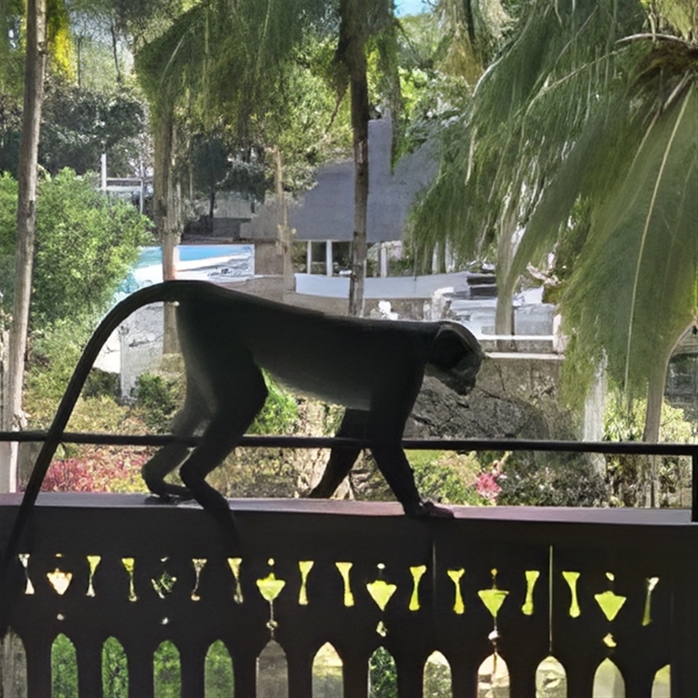 a monkey clambers across a railing at a beach resort