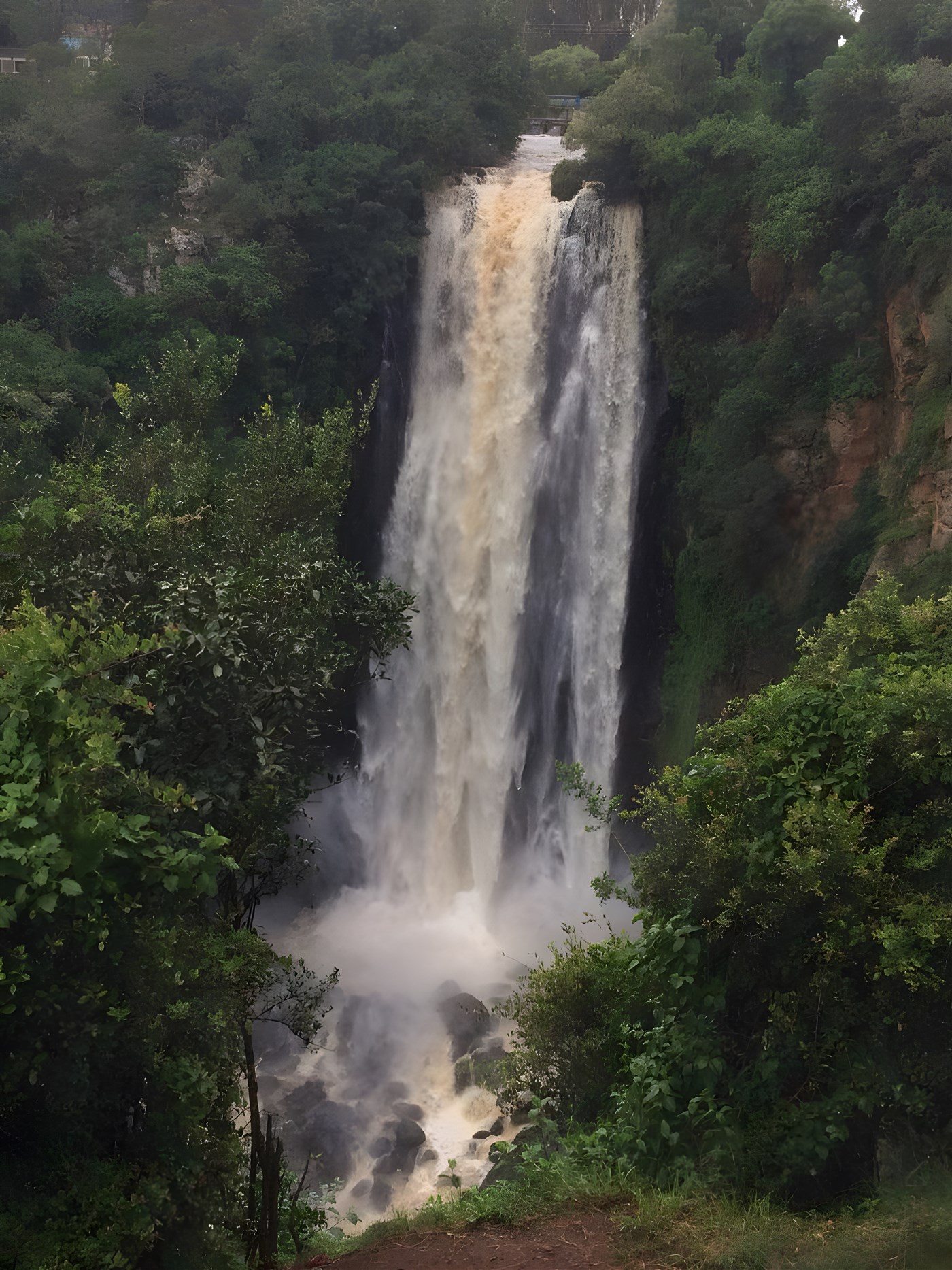 Thompson Falls