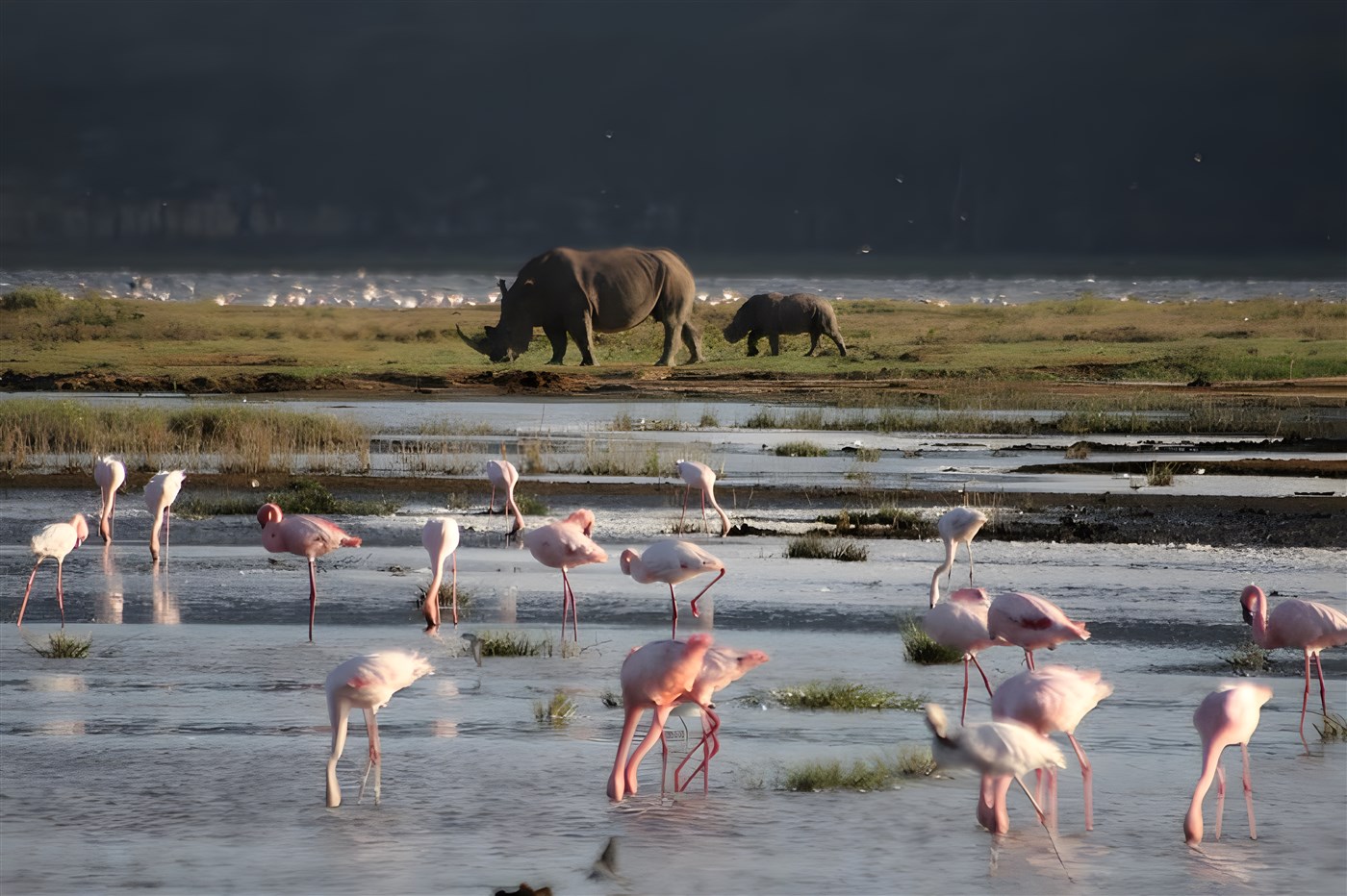 Lake Naivasha