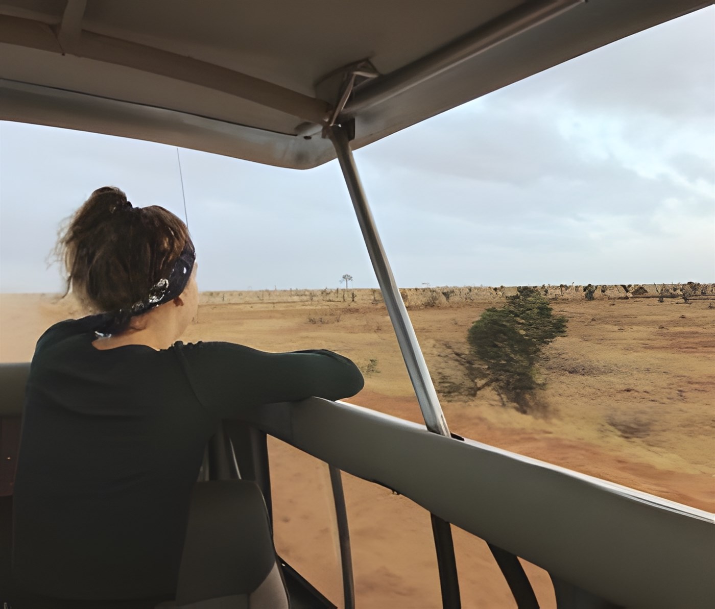 Looking over the African plains