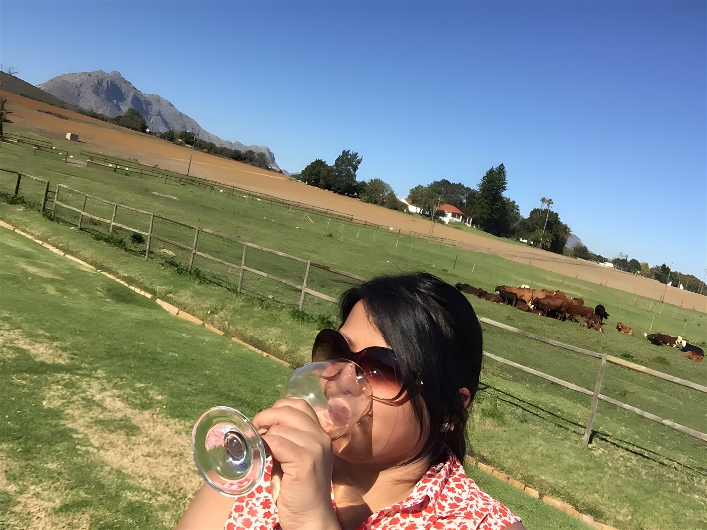 Nishma enjoying a glass of wine in the Winelands, South Africa