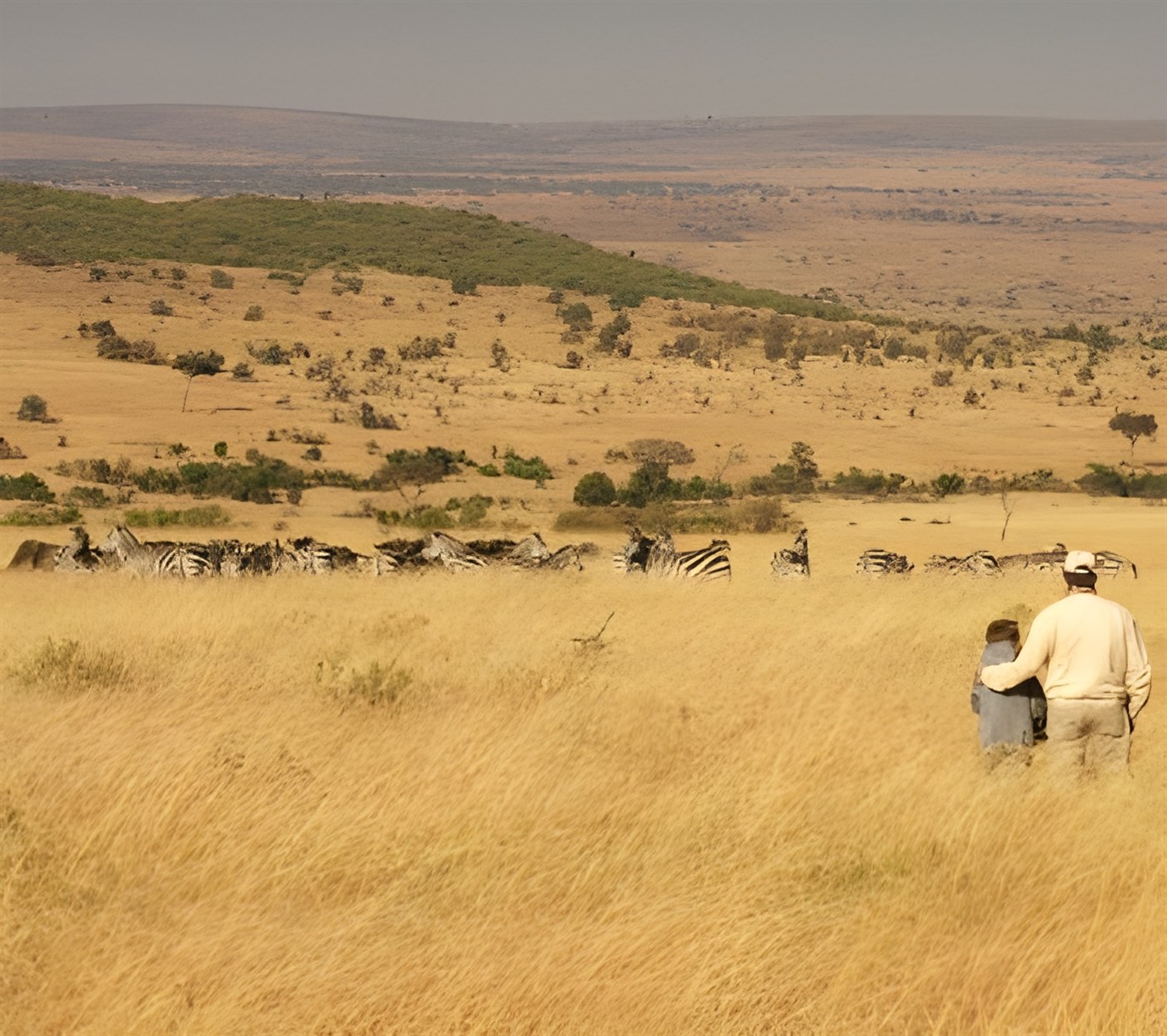Bush Walk At Cottars