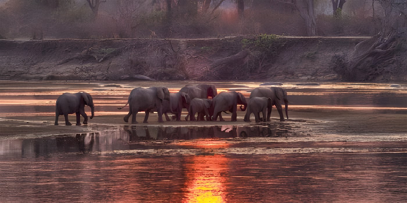 Game drives along the river in Zambia