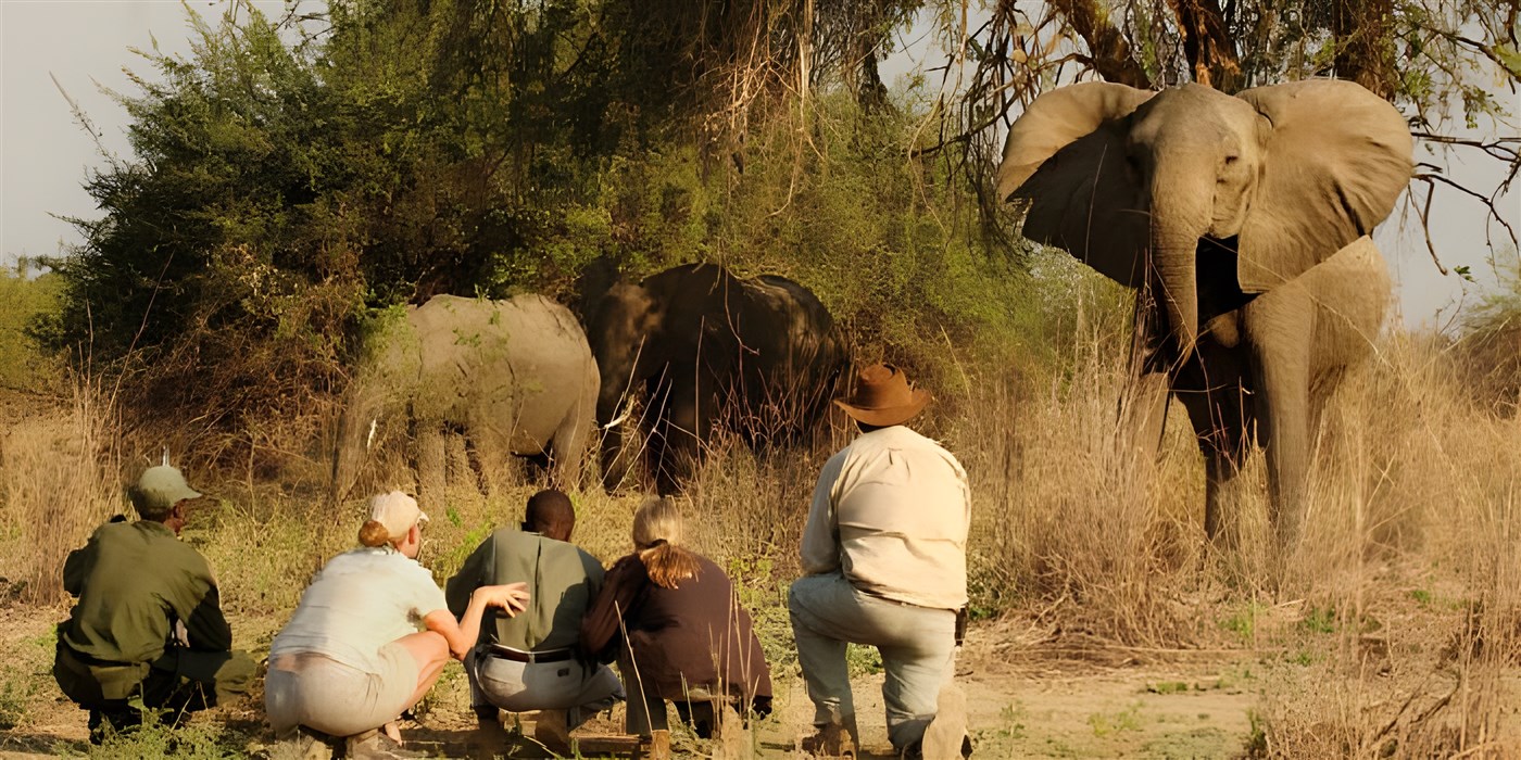 Walking safaris in Zambia