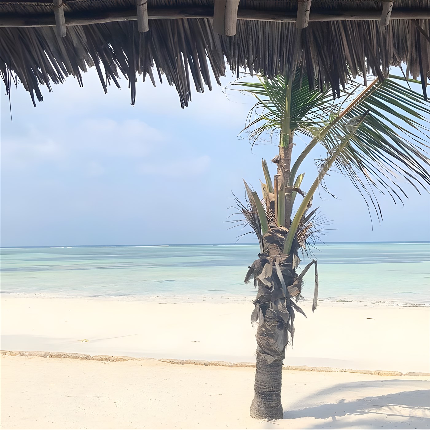 Beach in Zanzibar