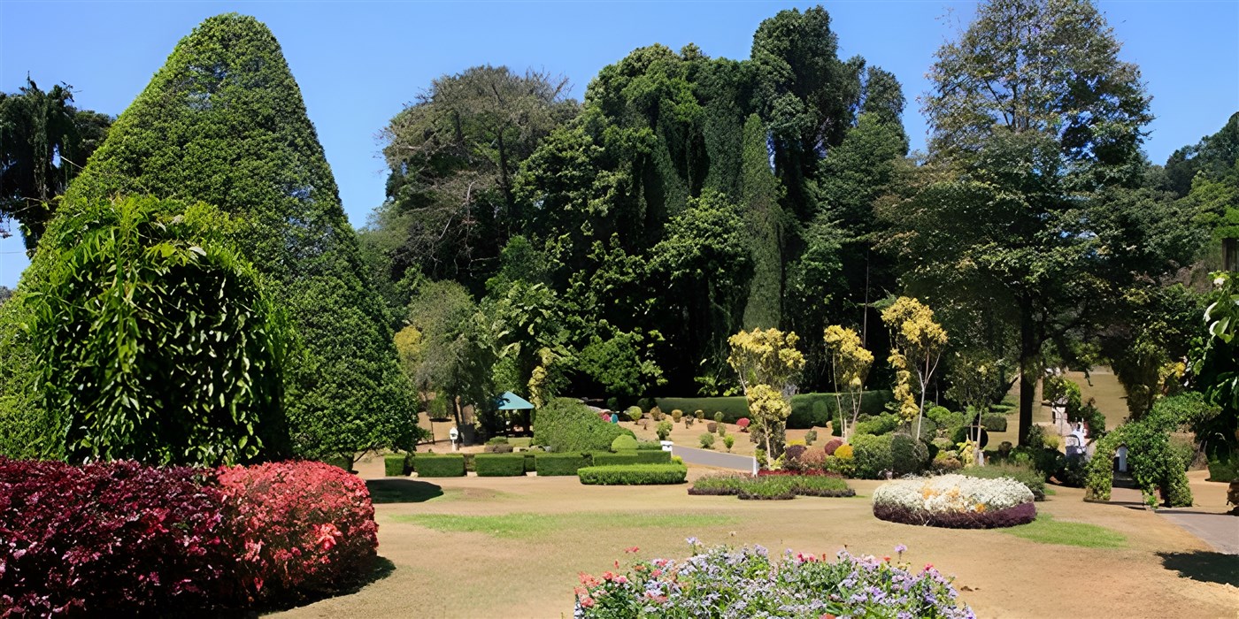 Royal Botanical Garden at Peradeniya in Sri Lanka
