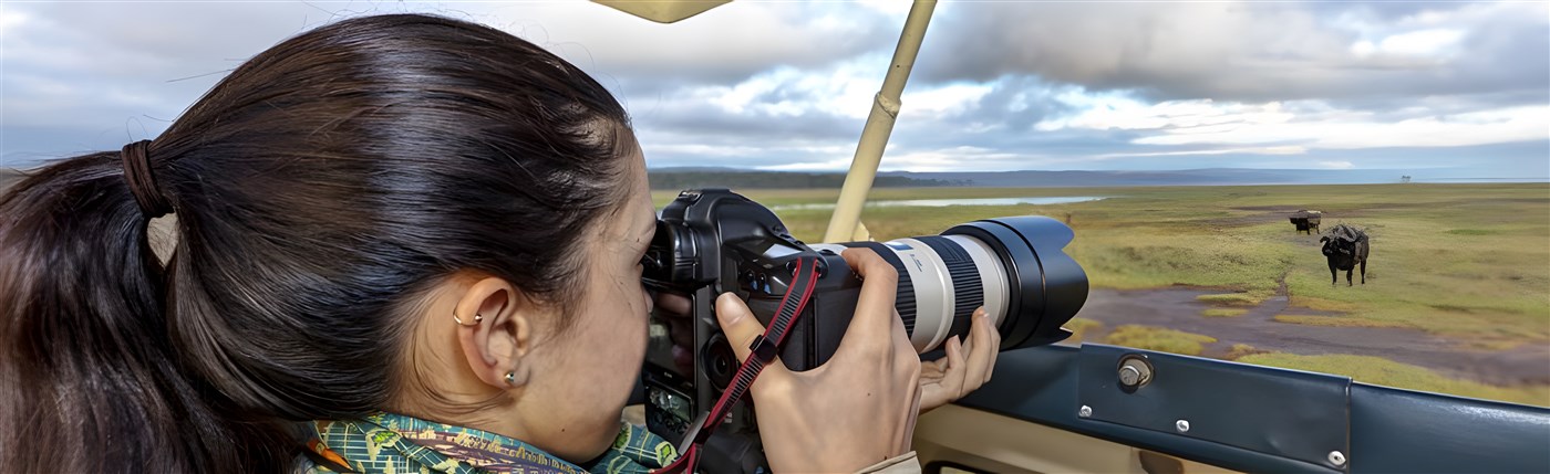 Woman taking photograph of elephants from a safari vehicle