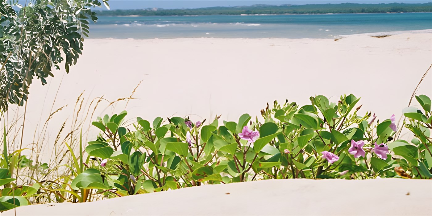 Kisingo beach