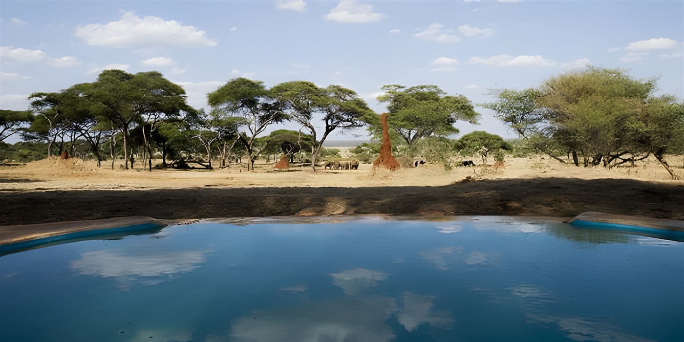 Sanctuary Swala Camp, Tanzania