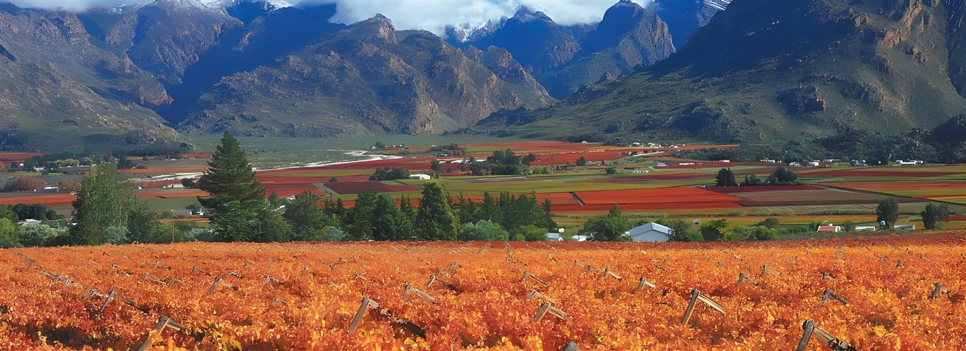 The stunning Cape Winelands, South Africa