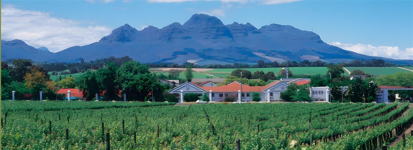 The Cape Winelands, South Africa