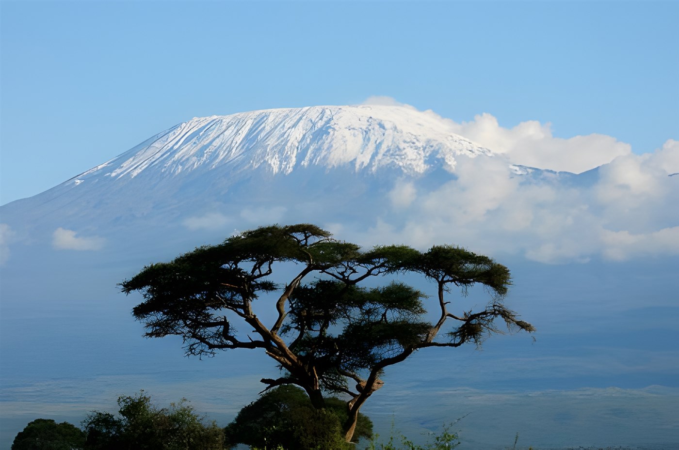Mount Kilimanjaro from Amboseli