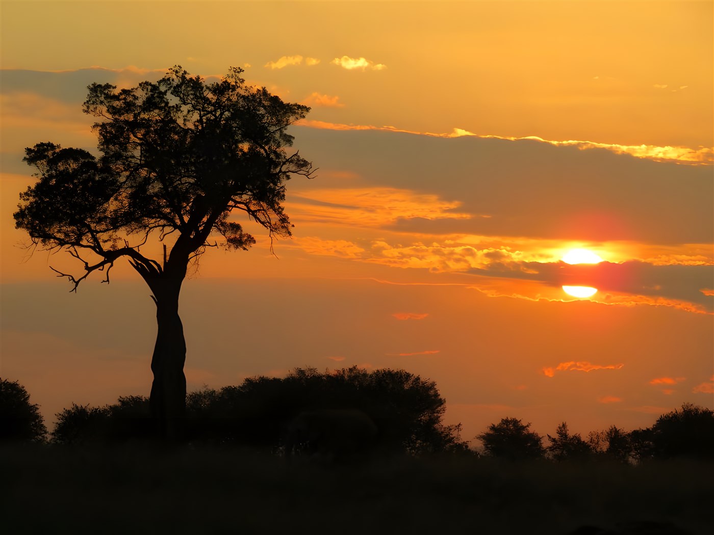Beautiful African Sunset over the Masai Mara