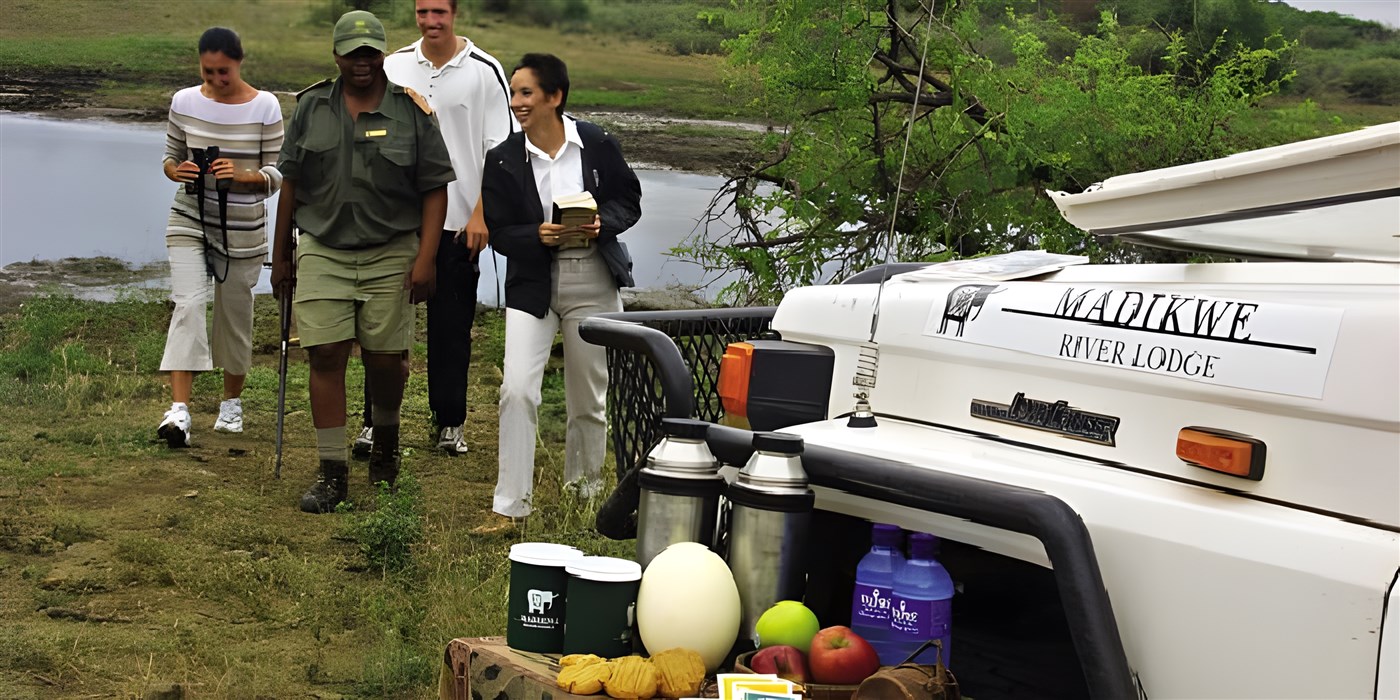 Madikwe National Reserve, South Africa Safari