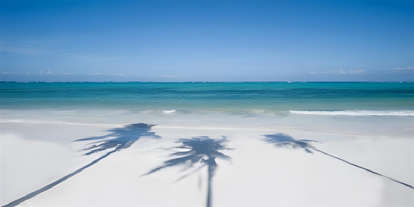 Shadows of palm trees on a Zanzibar beach