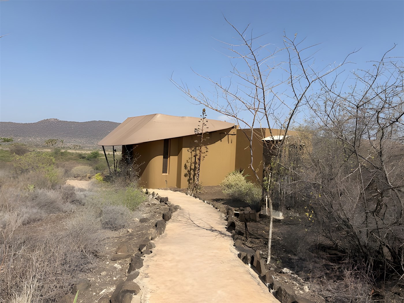 Surana Buffalo Springs Tent Exterior