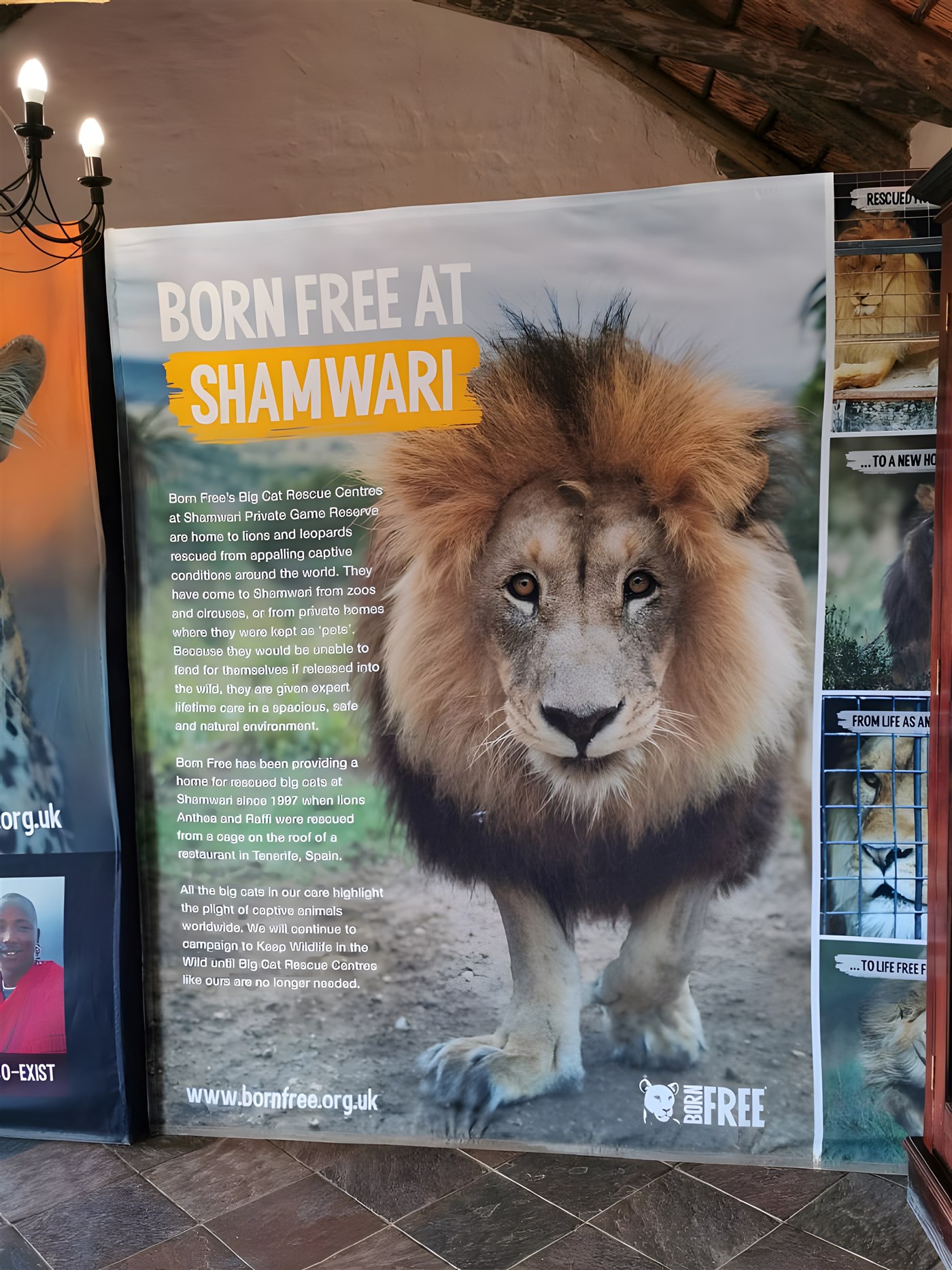 The Shamwari Big Cat Sanctuary