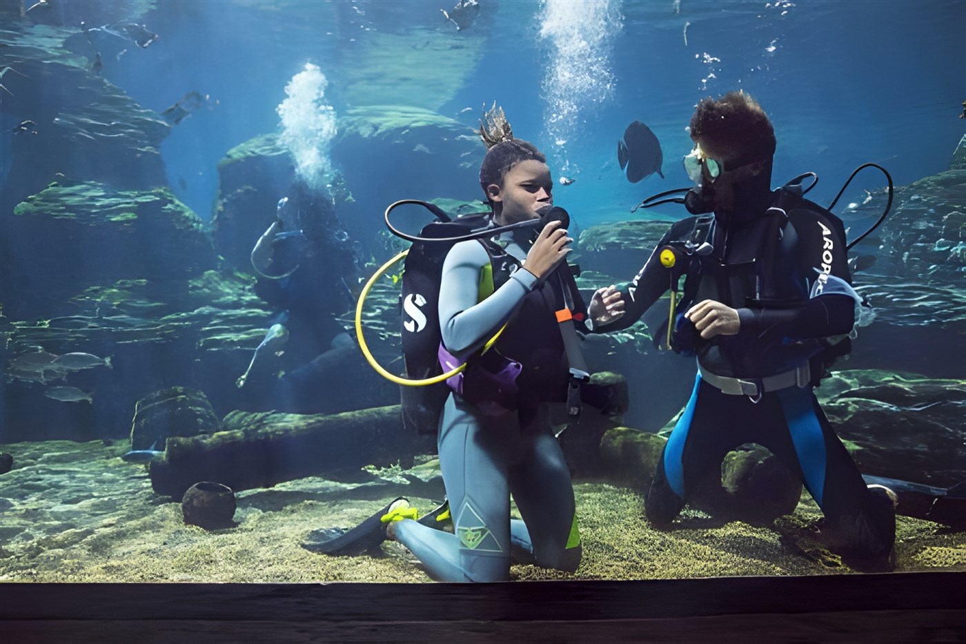 Scuba divers exploring the vibrant underwater world of Sodwana Bay, a renowned diving destination in KwaZulu-Natal, South Africa.