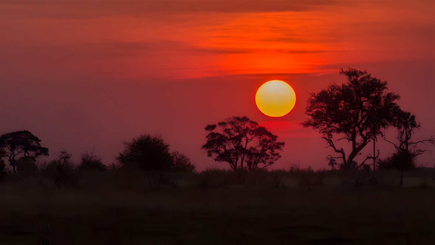 Botswana's sunrises and sunsets ignite the landscape, transforming it into a captivating spectacle. Light dances across the vast plains, casting dramatic shadows and igniting the clouds in a blaze of burnished hues.