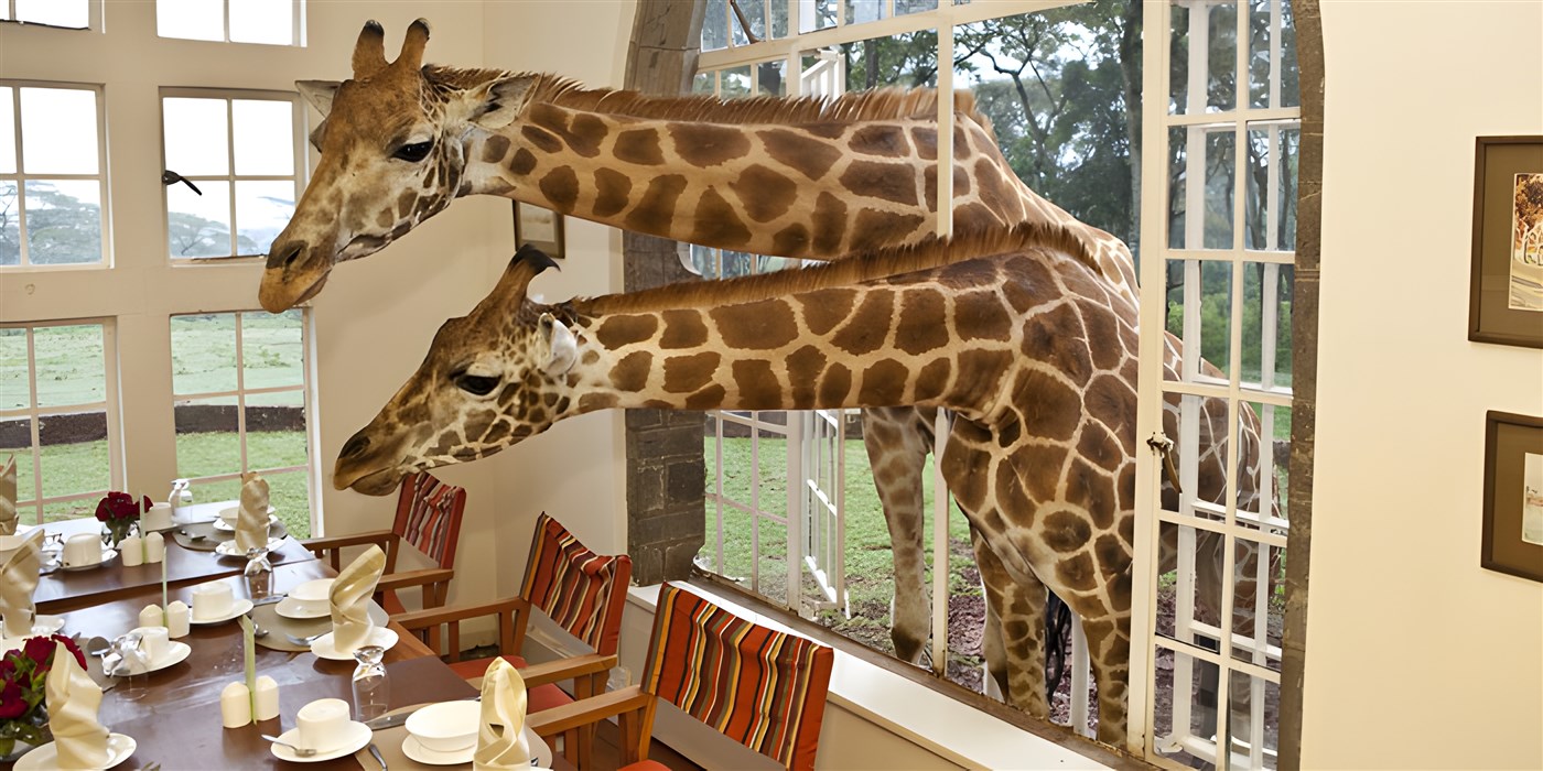 Giraffe Manor