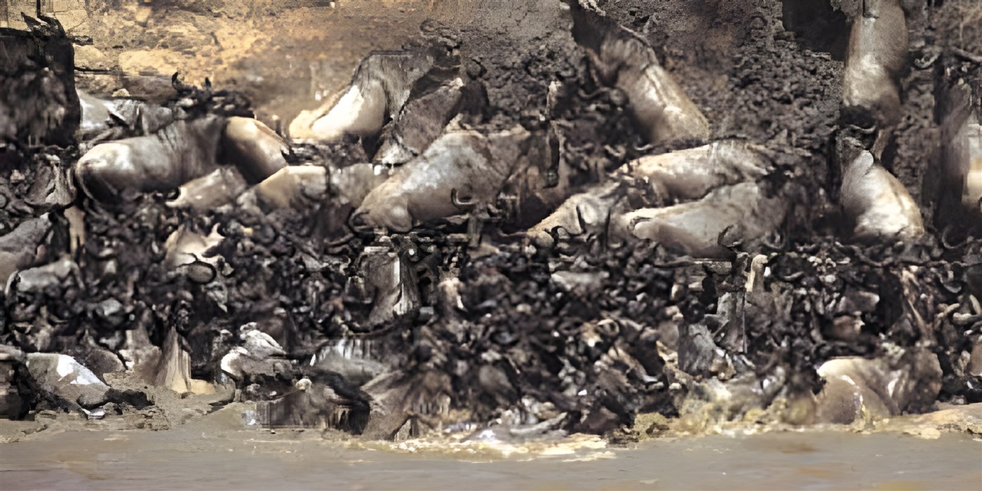 The Wildebeest Migration on Kenya Safari