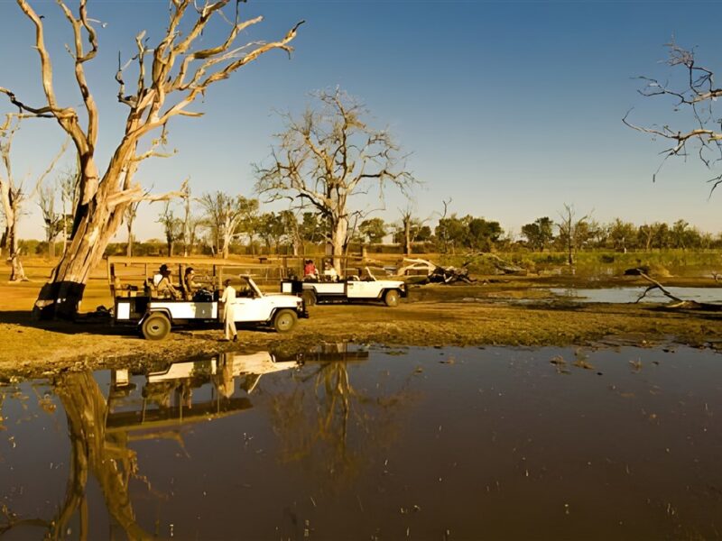 Game drive