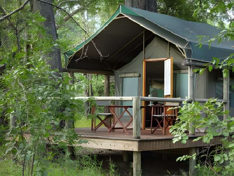 Tent exterior