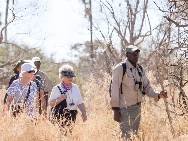 Bush walk