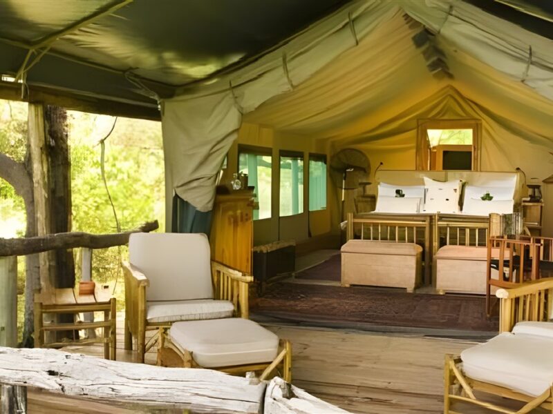 Guest tent
