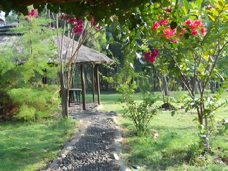 Garden