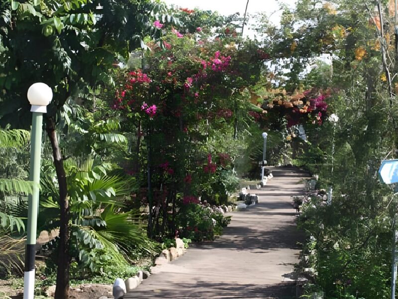 Gardens