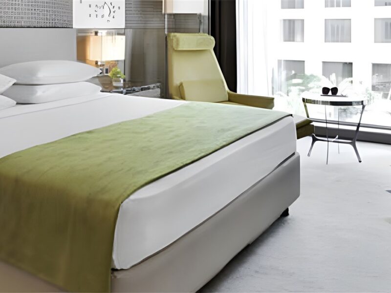 Deluxe King guest room