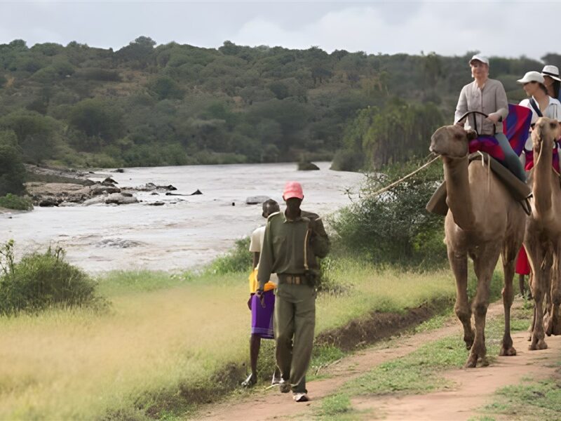 Camel trekking