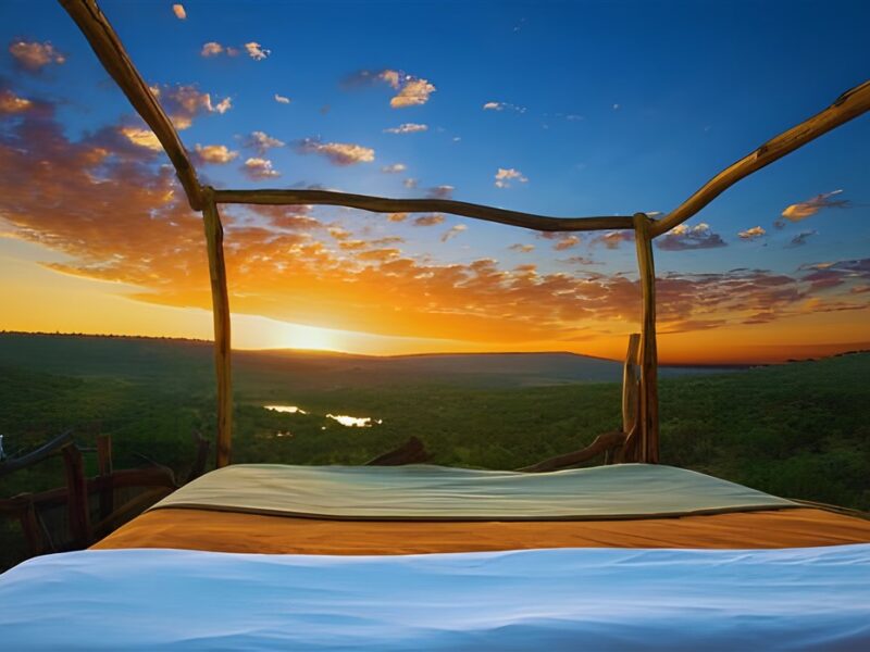 Star Bed Sunrise