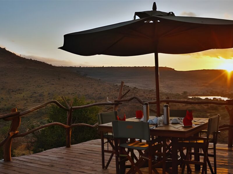 Outdoor dinning