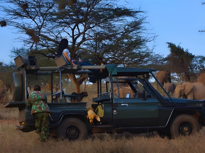 Game drive