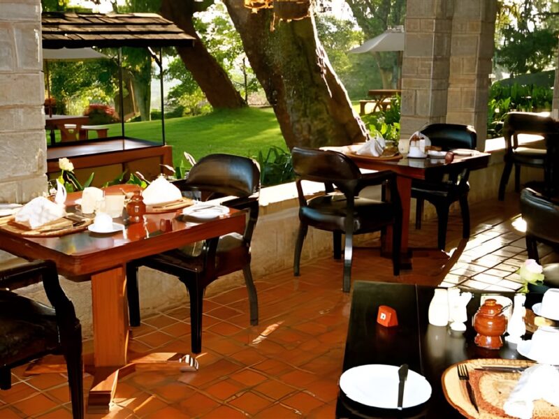 Restaurant Terrace