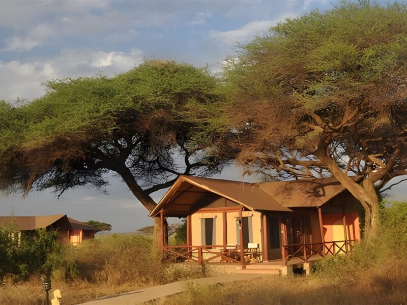 Kilima Camp Tents