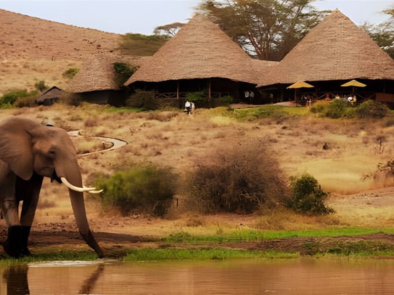 Superb location