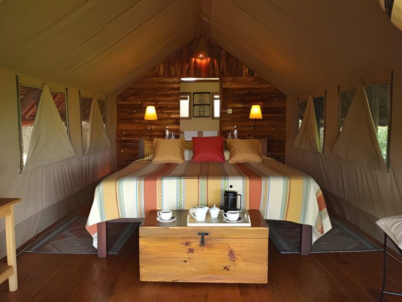 Tent