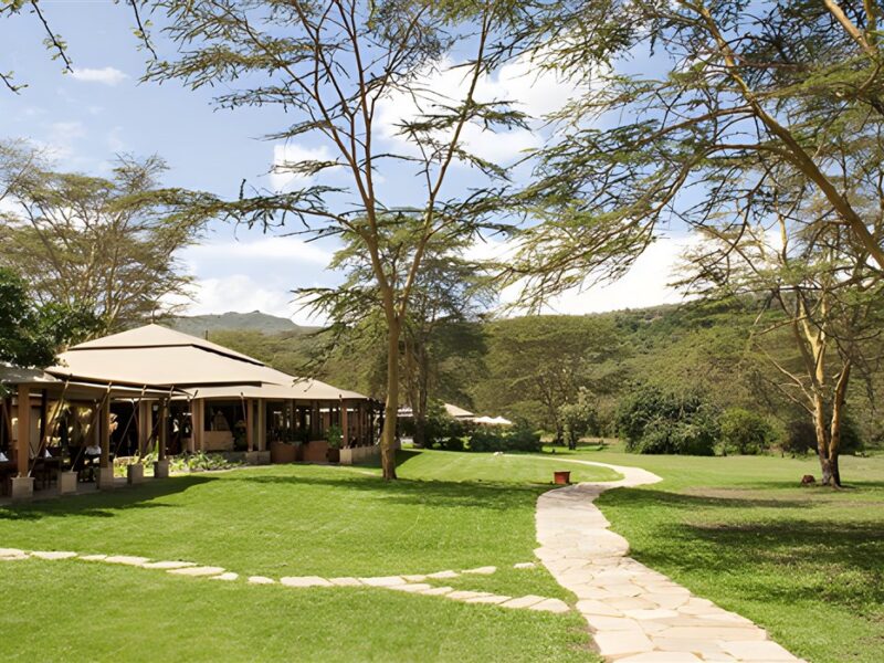 Lounge and dining tents