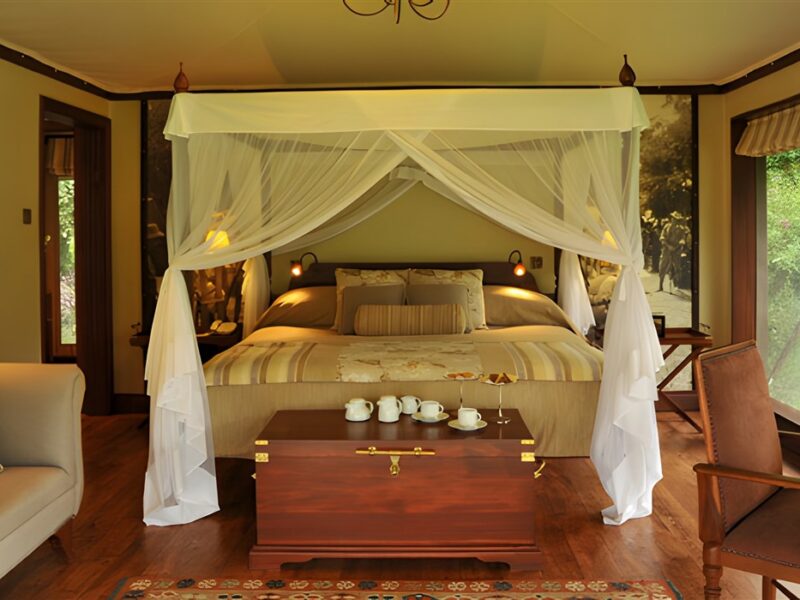 Guest bedroom
