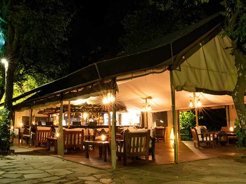 Camp at night