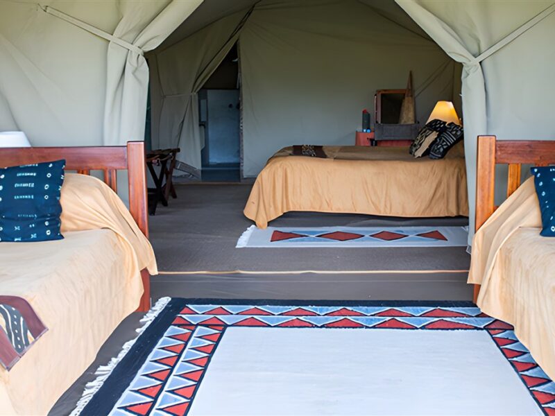 Family tent