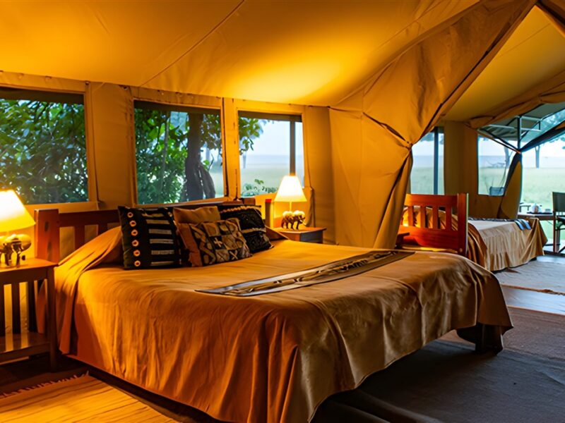 Guest tent