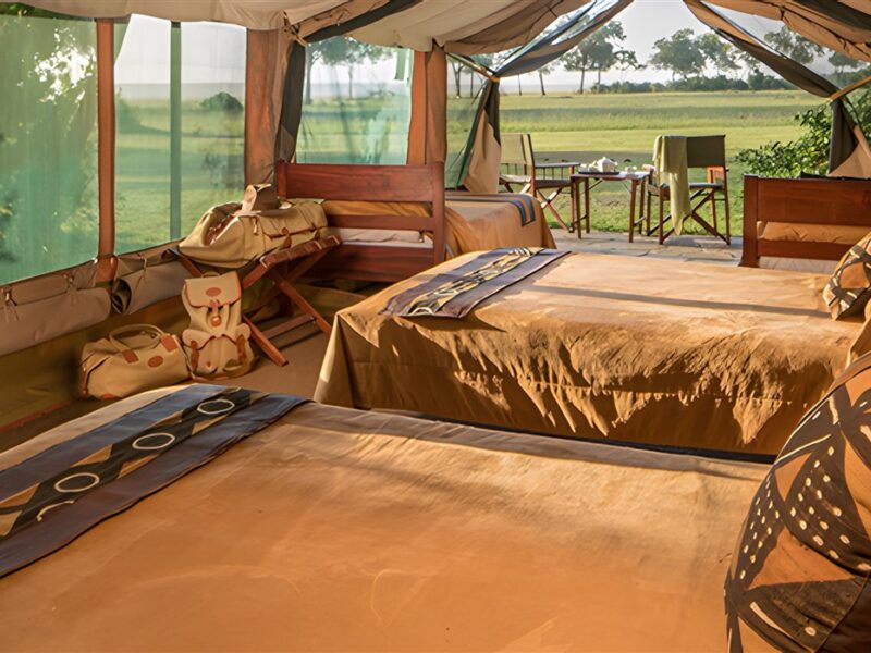 Guest tent