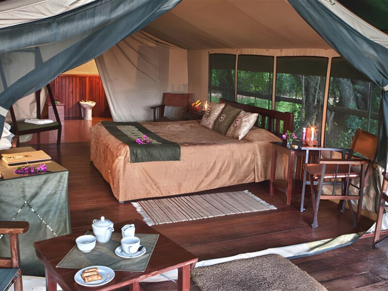 Guest tent