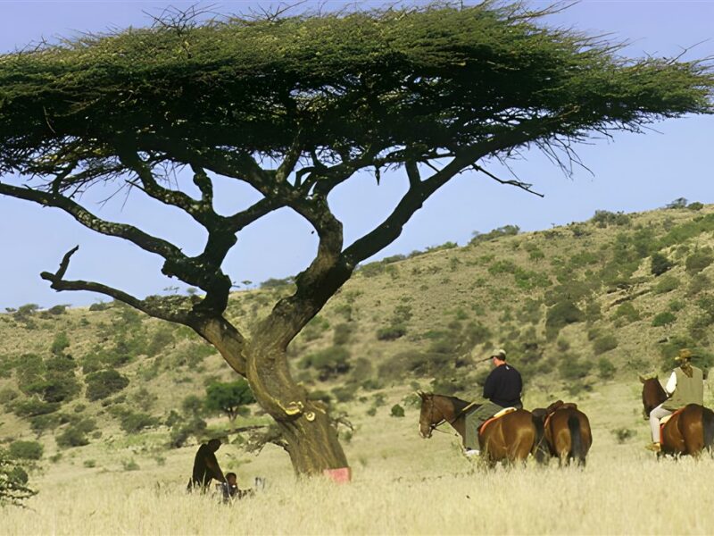 Horse riding